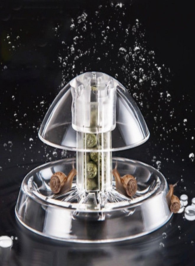 VAYINATO® Transparent Clear Planted Aquarium Fish Tank Snail Trapper Snail Catching Trap Box | Safe and Doesnt Harm Other Aquatic Species | Easy to Use by Petzlifeworld - Image 4